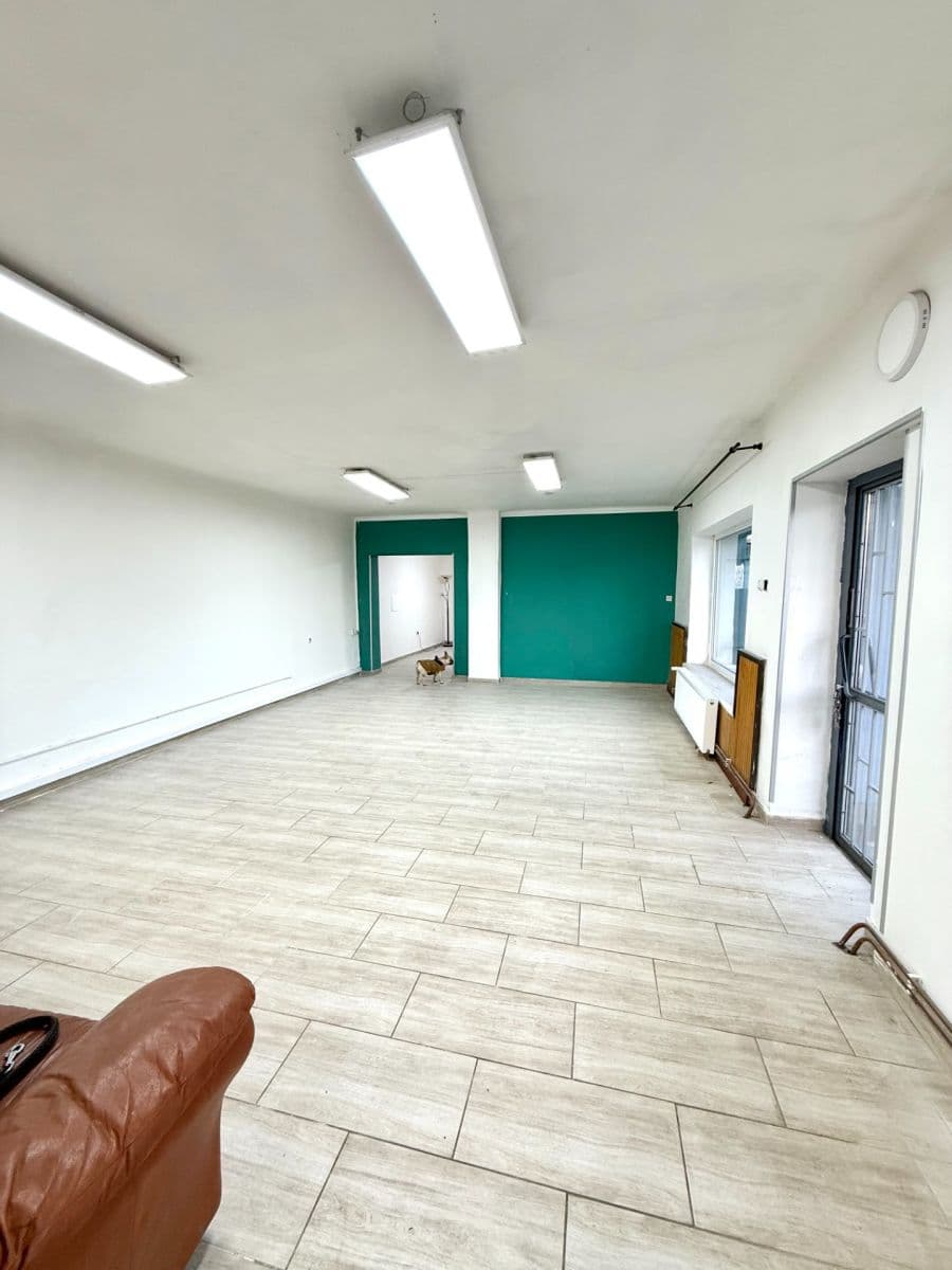 Prenájom domu 140 m², pozemek 50 m², Mělnická, Tišice, Středočeský kraj Prenájom domu 140 m², pozemek 50 m², Mělnická, Tišice, Středočeský kraj