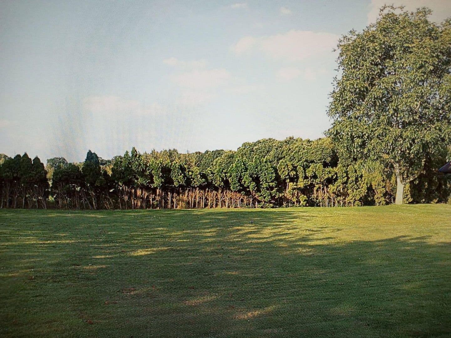 Prenájom domu 120 m², pozemek 800 m², Wiefelstede, Dolné Sasko Prenájom domu 120 m², pozemek 800 m², Wiefelstede, Dolné Sasko