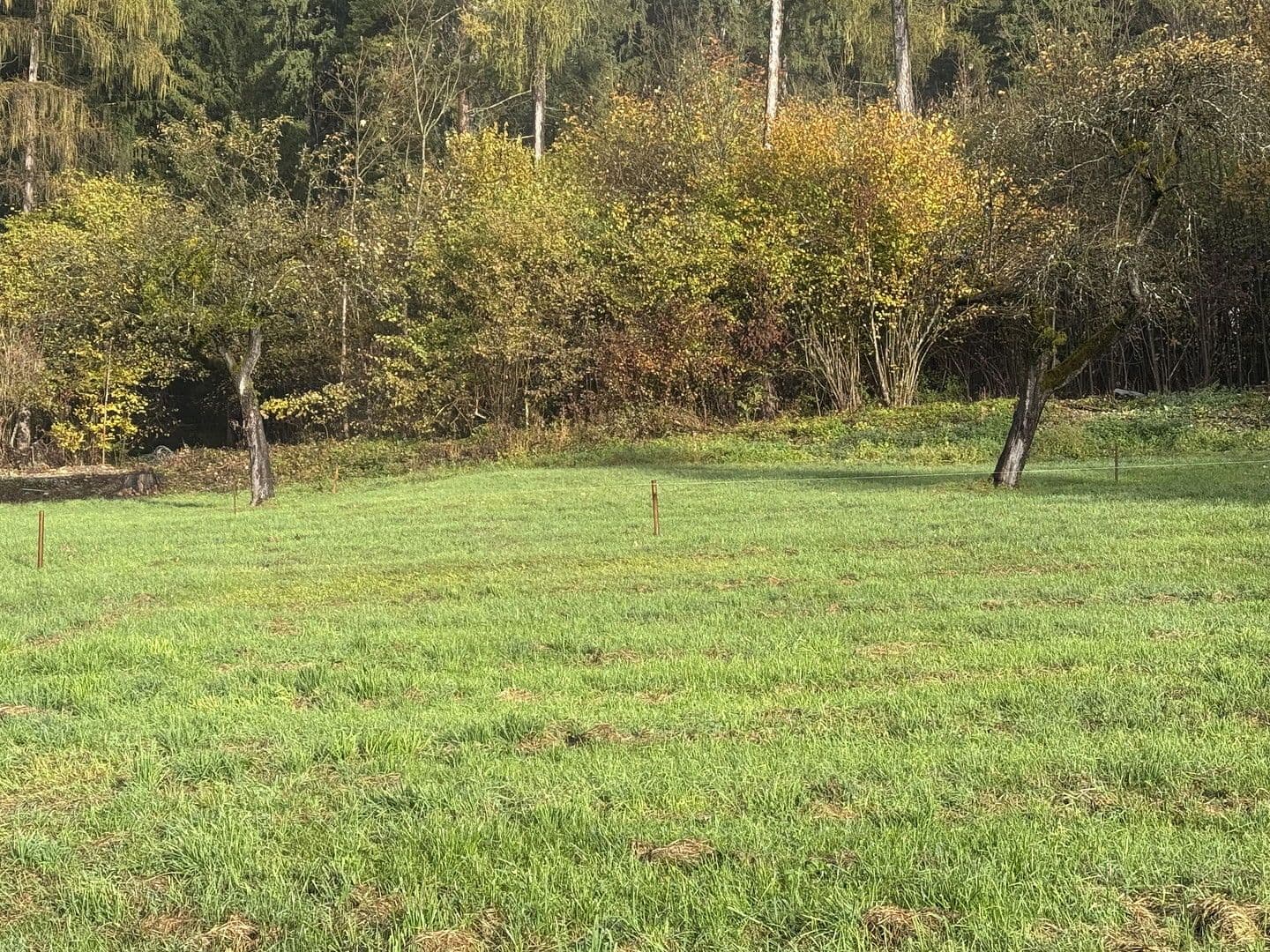 Predaj pozemku 454 m², Grünsbach, 122, Münster, Tirolsko Predaj pozemku 454 m², Grünsbach, 122, Münster, Tirolsko