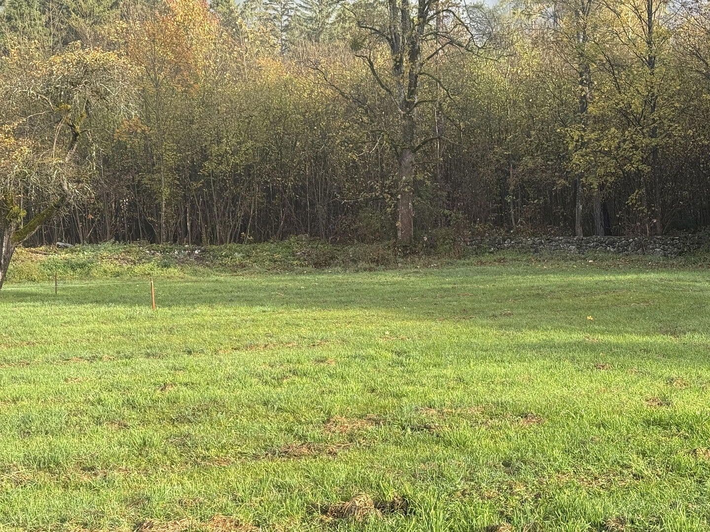 Predaj pozemku 454 m², Grünsbach, 122, Münster, Tirolsko Predaj pozemku 454 m², Grünsbach, 122, Münster, Tirolsko