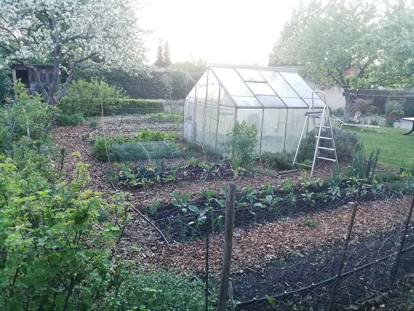 Predaj domu 174 m², pozemek 1.787 m², Alte Heerstraße 25, Wesendorf, Dolné Sasko Predaj domu 174 m², pozemek 1.787 m², Alte Heerstraße 25, Wesendorf, Dolné Sasko