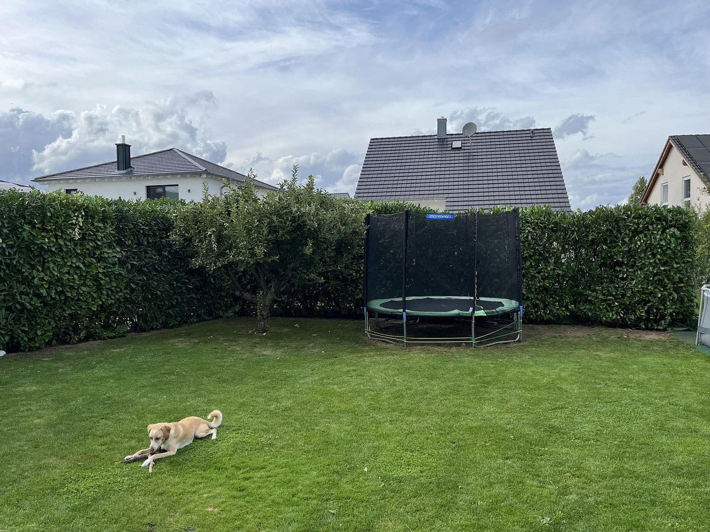 Predaj domu 126 m², pozemek 514 m², Bürstadt, Hesensko Predaj domu 126 m², pozemek 514 m², Bürstadt, Hesensko