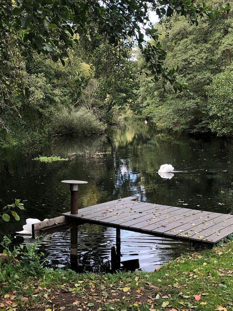 Predaj domu 128 m², pozemek 840 m², Weidenweg 25b, Birkenwerder, Brandenbursko Predaj domu 128 m², pozemek 840 m², Weidenweg 25b, Birkenwerder, Brandenbursko