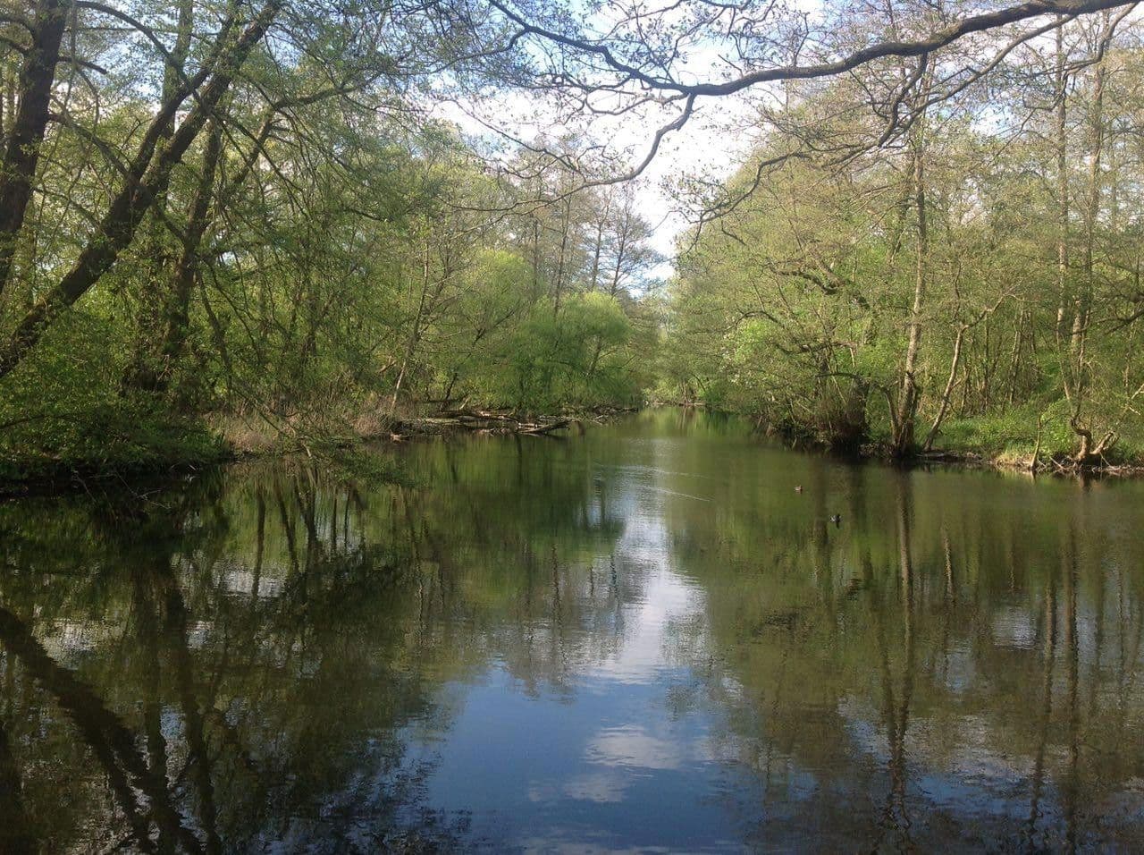 Predaj domu 128 m², pozemek 840 m², Weidenweg 25b, Birkenwerder, Brandenbursko Predaj domu 128 m², pozemek 840 m², Weidenweg 25b, Birkenwerder, Brandenbursko