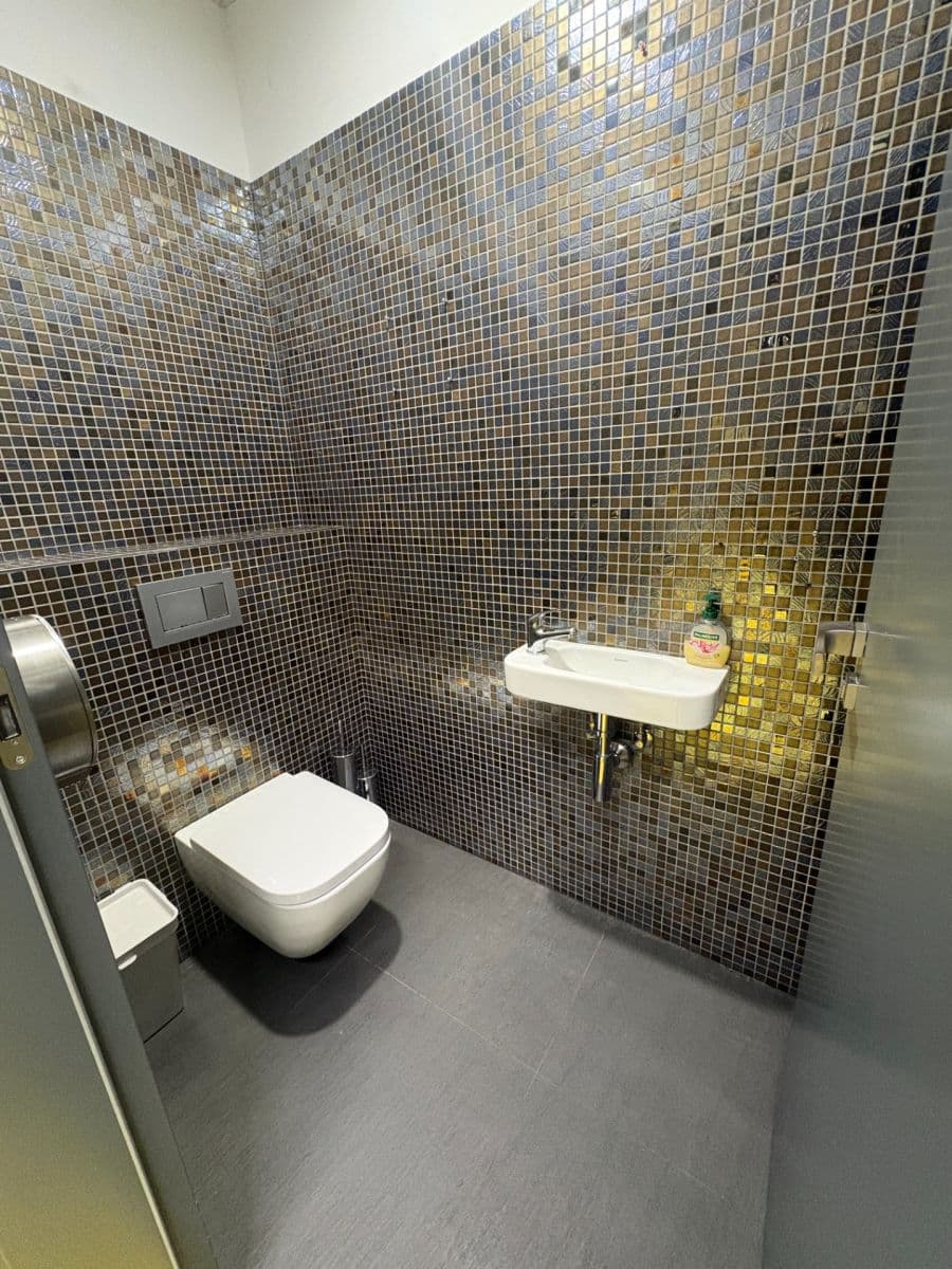 Prenájom nebytového priestoru 215 m², Sokolovská, Praha, Praha Prenájom nebytového priestoru 215 m², Sokolovská, Praha, Praha