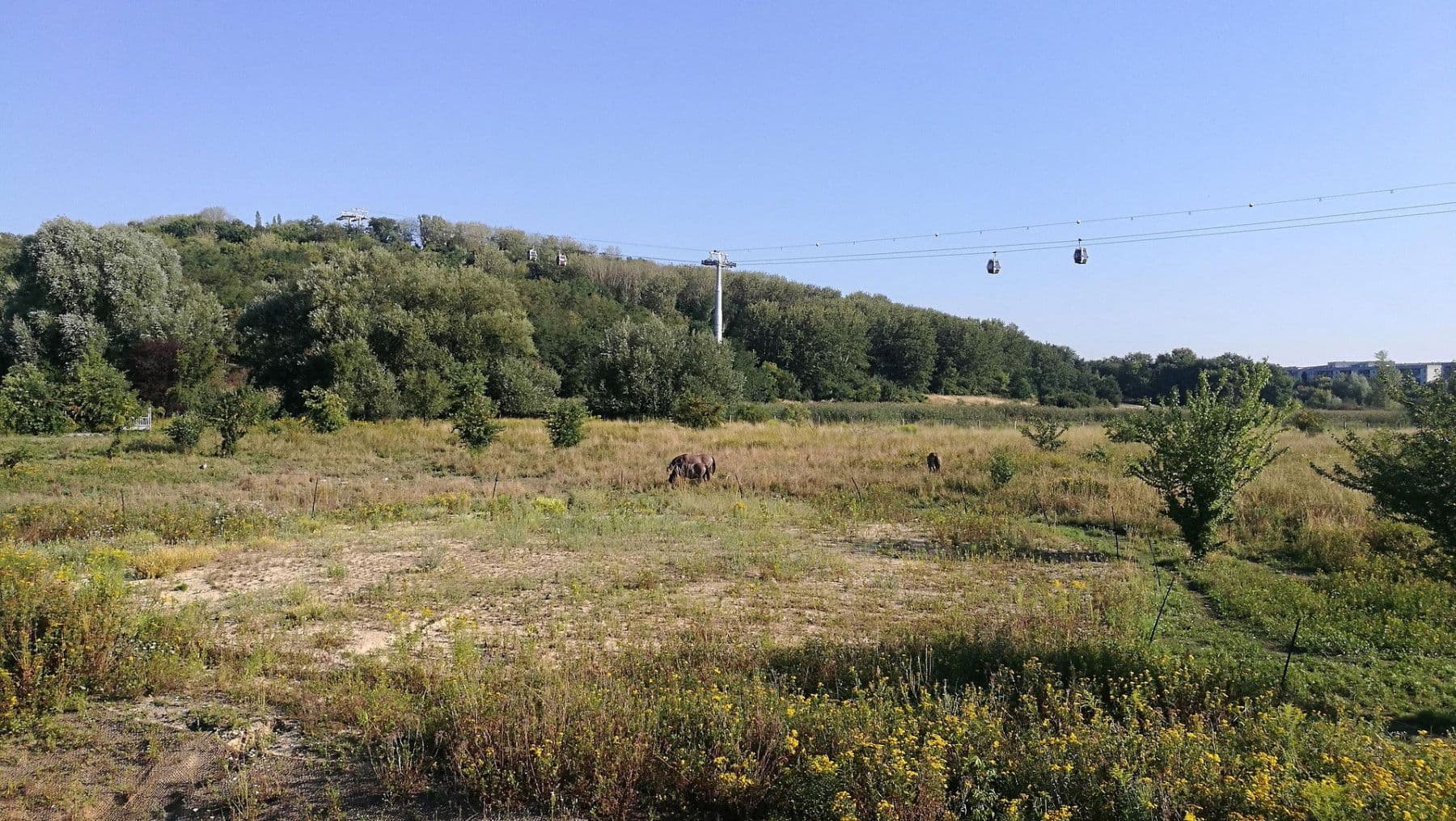 Predaj bytu 3-izbový 83 m², Hellersdorfer Straße, 111, Berlin, Berlín Predaj bytu 3-izbový 83 m², Hellersdorfer Straße, 111, Berlin, Berlín