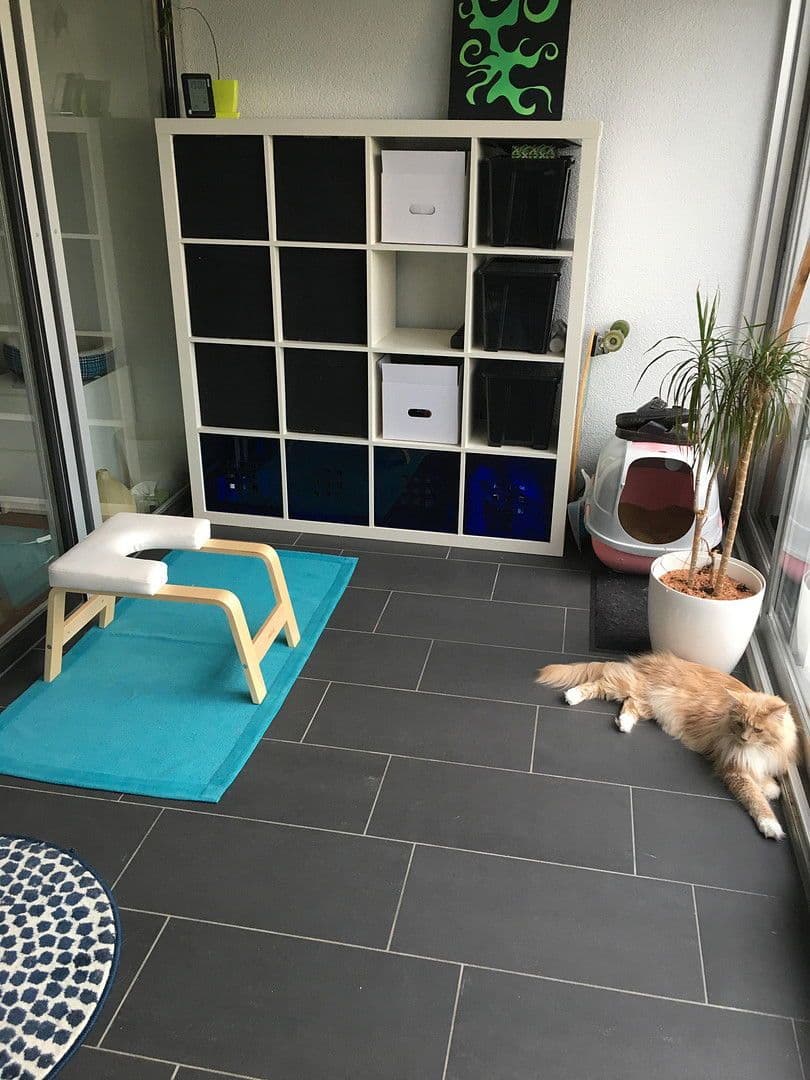 Prenájom bytu 2-izbový 59 m², Herrengutgasse 18c, Lauterach, Vorarlbersko Prenájom bytu 2-izbový 59 m², Herrengutgasse 18c, Lauterach, Vorarlbersko