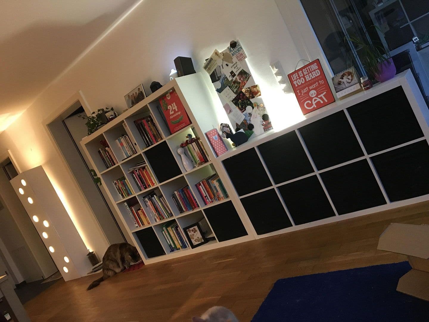 Prenájom bytu 2-izbový 59 m², Herrengutgasse 18c, Lauterach, Vorarlbersko Prenájom bytu 2-izbový 59 m², Herrengutgasse 18c, Lauterach, Vorarlbersko