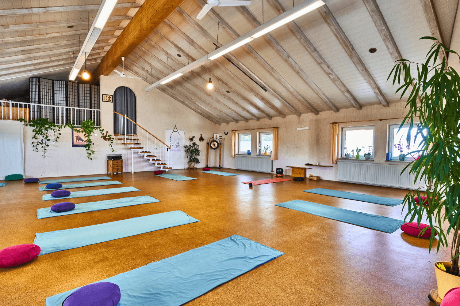 Predaj domu 271 m², pozemek 2.024 m², Lauingen (Donau), Bavorsko Predaj domu 271 m², pozemek 2.024 m², Lauingen (Donau), Bavorsko