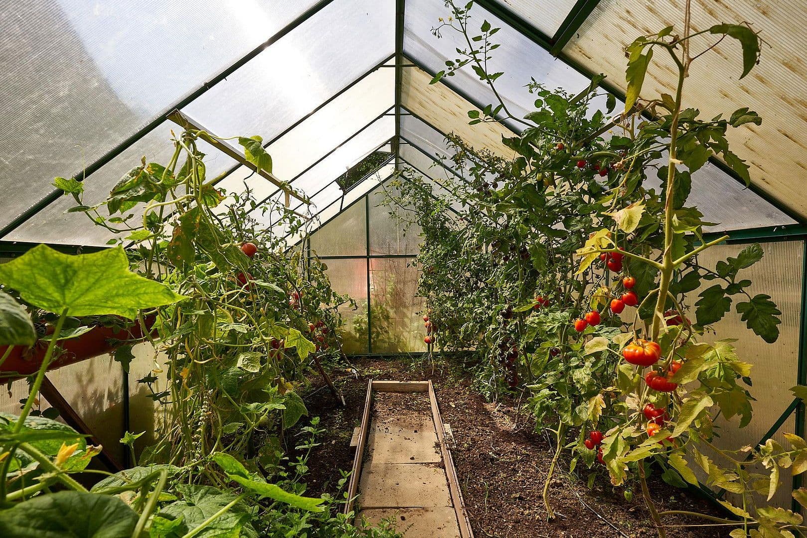 Predaj domu 271 m², pozemek 2.024 m², Lauingen (Donau), Bavorsko Predaj domu 271 m², pozemek 2.024 m², Lauingen (Donau), Bavorsko