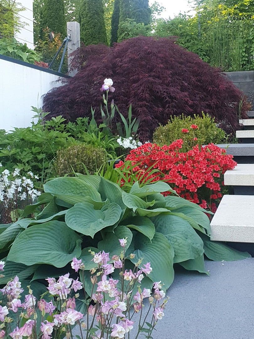 Predaj domu 249 m², pozemek 1.100 m², Taufkirchen, Bavorsko Predaj domu 249 m², pozemek 1.100 m², Taufkirchen, Bavorsko