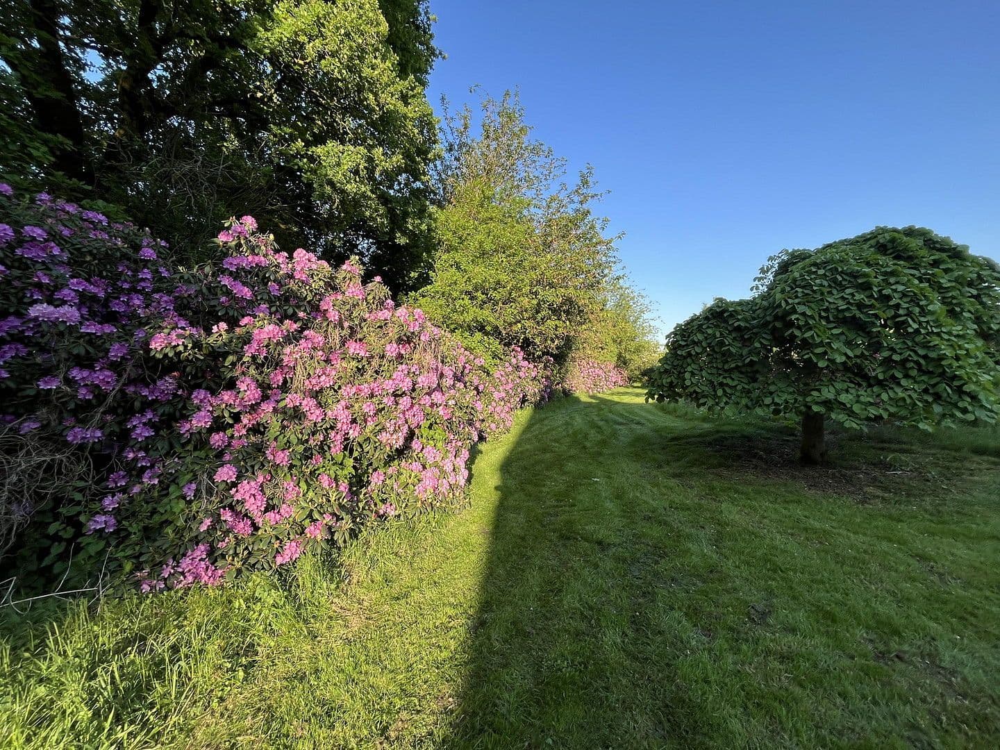 Predaj domu 198 m², pozemek 5.000 m², Dahldorfer Str. 19, Gnarrenburg, Dolné Sasko Predaj domu 198 m², pozemek 5.000 m², Dahldorfer Str. 19, Gnarrenburg, Dolné Sasko