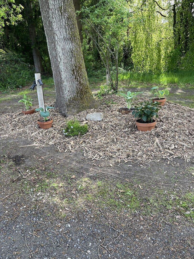 Predaj domu 198 m², pozemek 5.000 m², Dahldorfer Str. 19, Gnarrenburg, Dolné Sasko Predaj domu 198 m², pozemek 5.000 m², Dahldorfer Str. 19, Gnarrenburg, Dolné Sasko