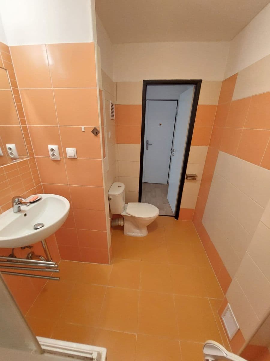 Prenájom bytu 1-izbový 42 m², Smrková, Plzeň, Plzeňský kraj Prenájom bytu 1-izbový 42 m², Smrková, Plzeň, Plzeňský kraj