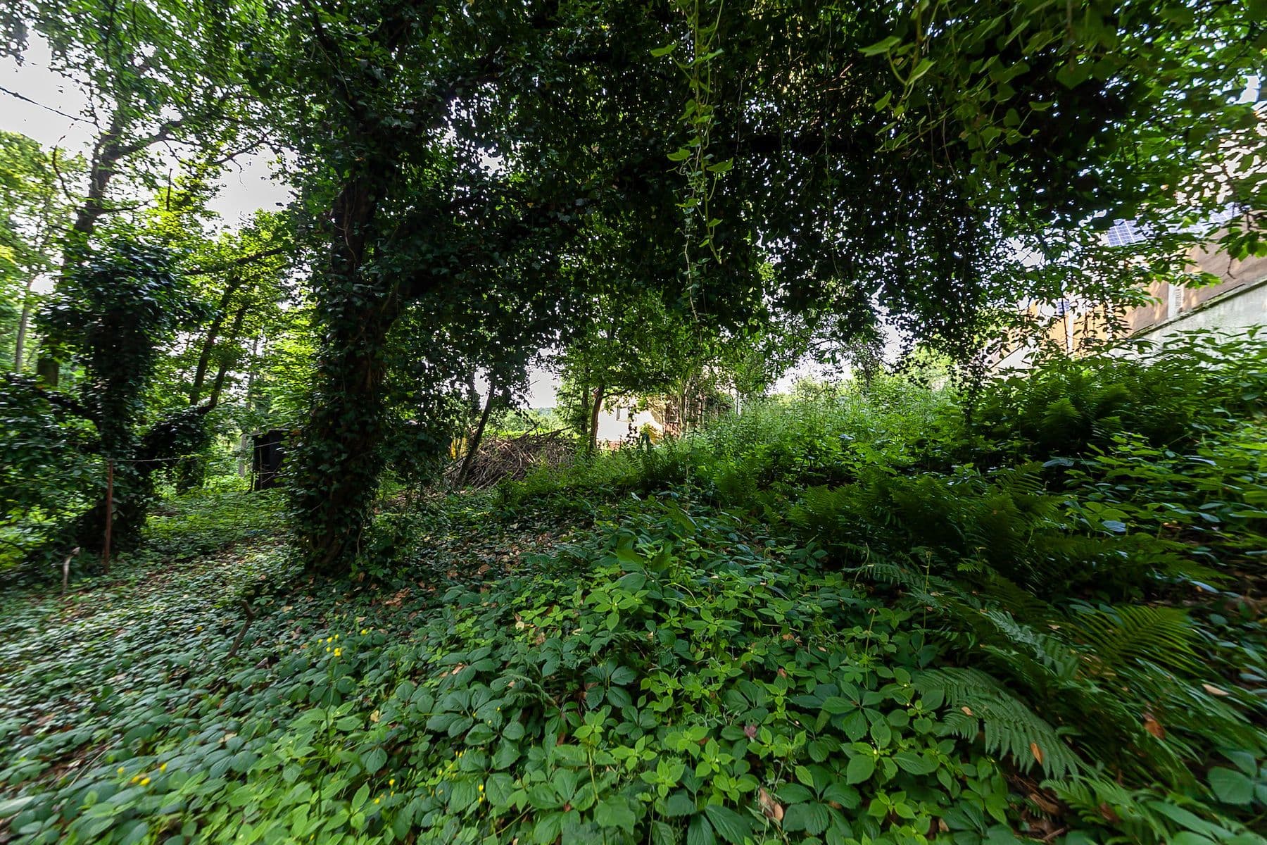 Predaj rekreačného objektu 35 m², pozemek 614 m², Ke Lhotě, Dolní Břežany, Středočeský kraj Predaj rekreačného objektu 35 m², pozemek 614 m², Ke Lhotě, Dolní Břežany, Středočeský kraj