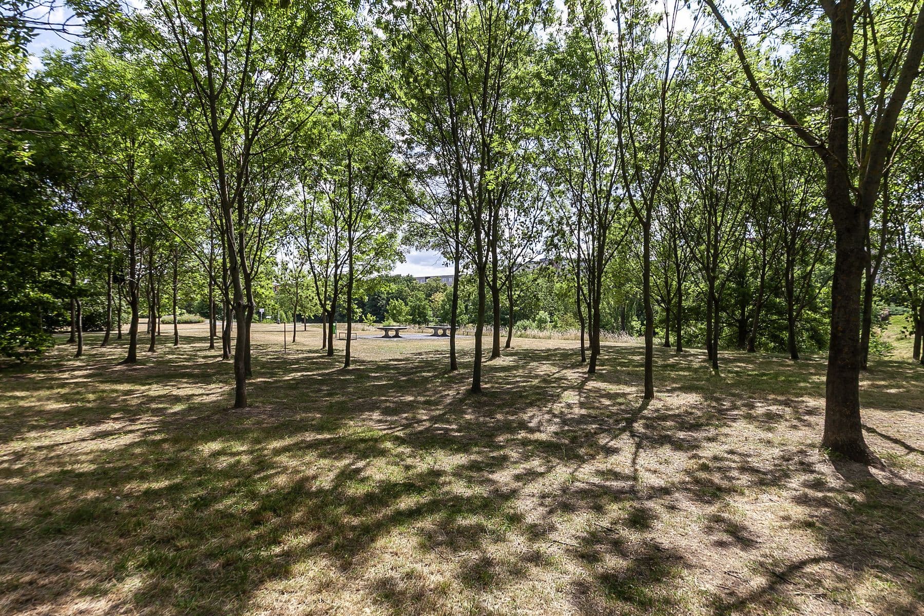 Predaj bytu 2-izbový 65 m², Bouřilova, Praha, Praha Predaj bytu 2-izbový 65 m², Bouřilova, Praha, Praha