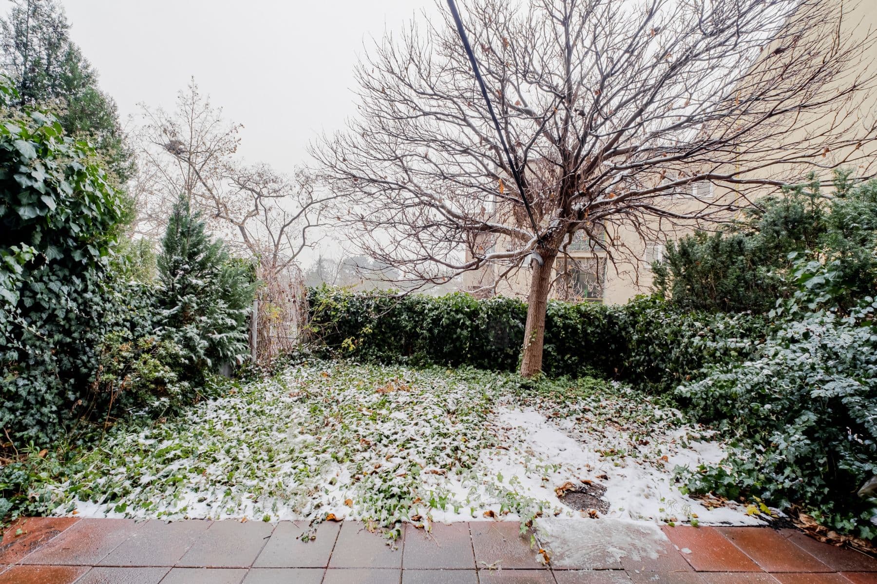 Prenájom bytu 63 m², U Zvonařky, Praha, Praha Prenájom bytu 63 m², U Zvonařky, Praha, Praha