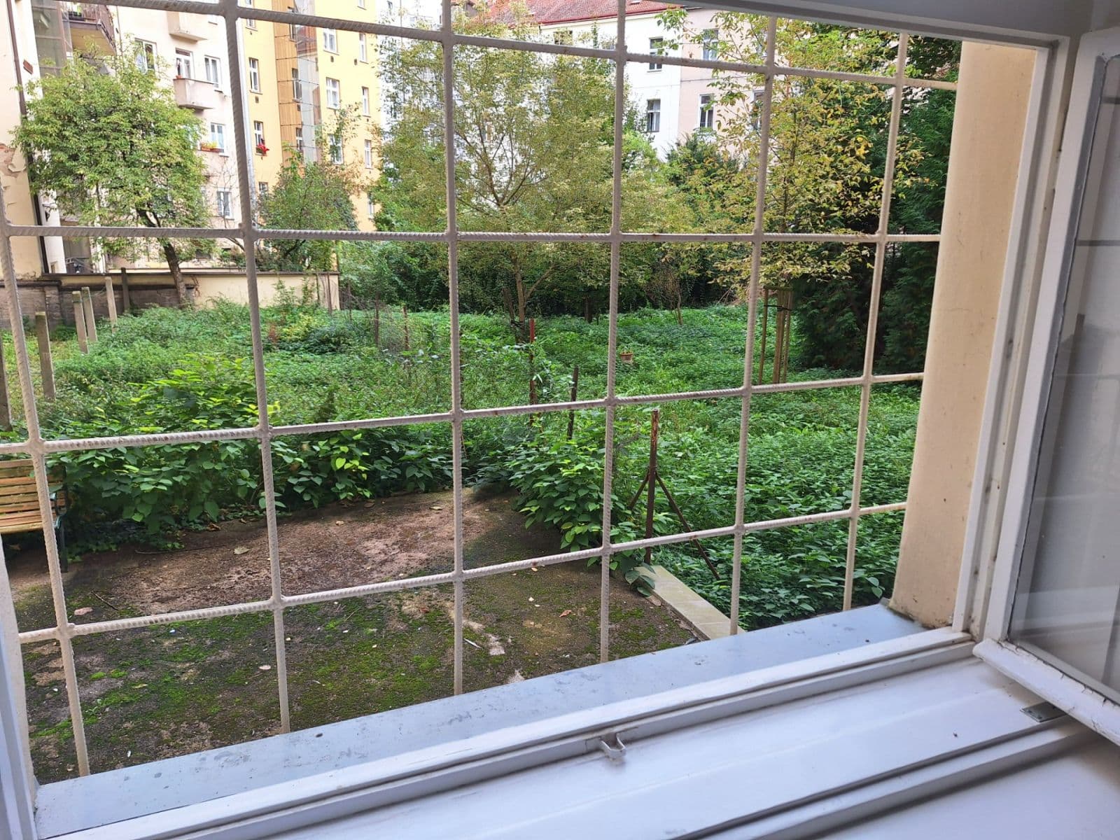 Prenájom bytu 2-izbový 38 m², Václavkova, Praha, Praha Prenájom bytu 2-izbový 38 m², Václavkova, Praha, Praha