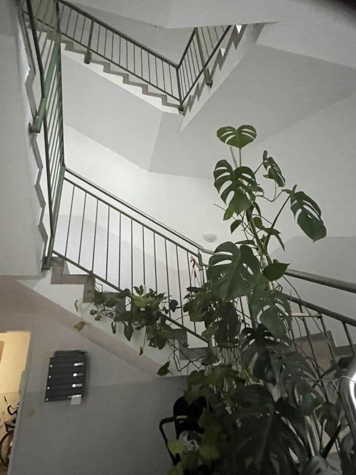 Prenájom bytu 2-izbový 46 m², Enns, Horné Rakúsko Prenájom bytu 2-izbový 46 m², Enns, Horné Rakúsko