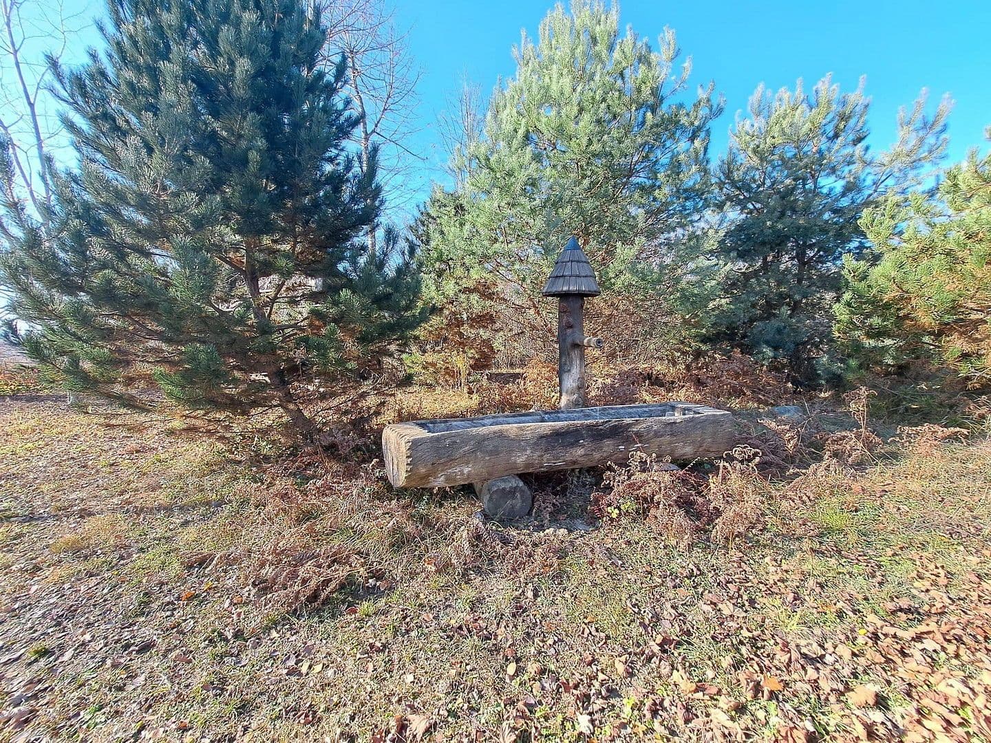 Predaj domu 872 m², pozemek 25.421 m², Sankt Veit an der Glan, Korutánsko Predaj domu 872 m², pozemek 25.421 m², Sankt Veit an der Glan, Korutánsko