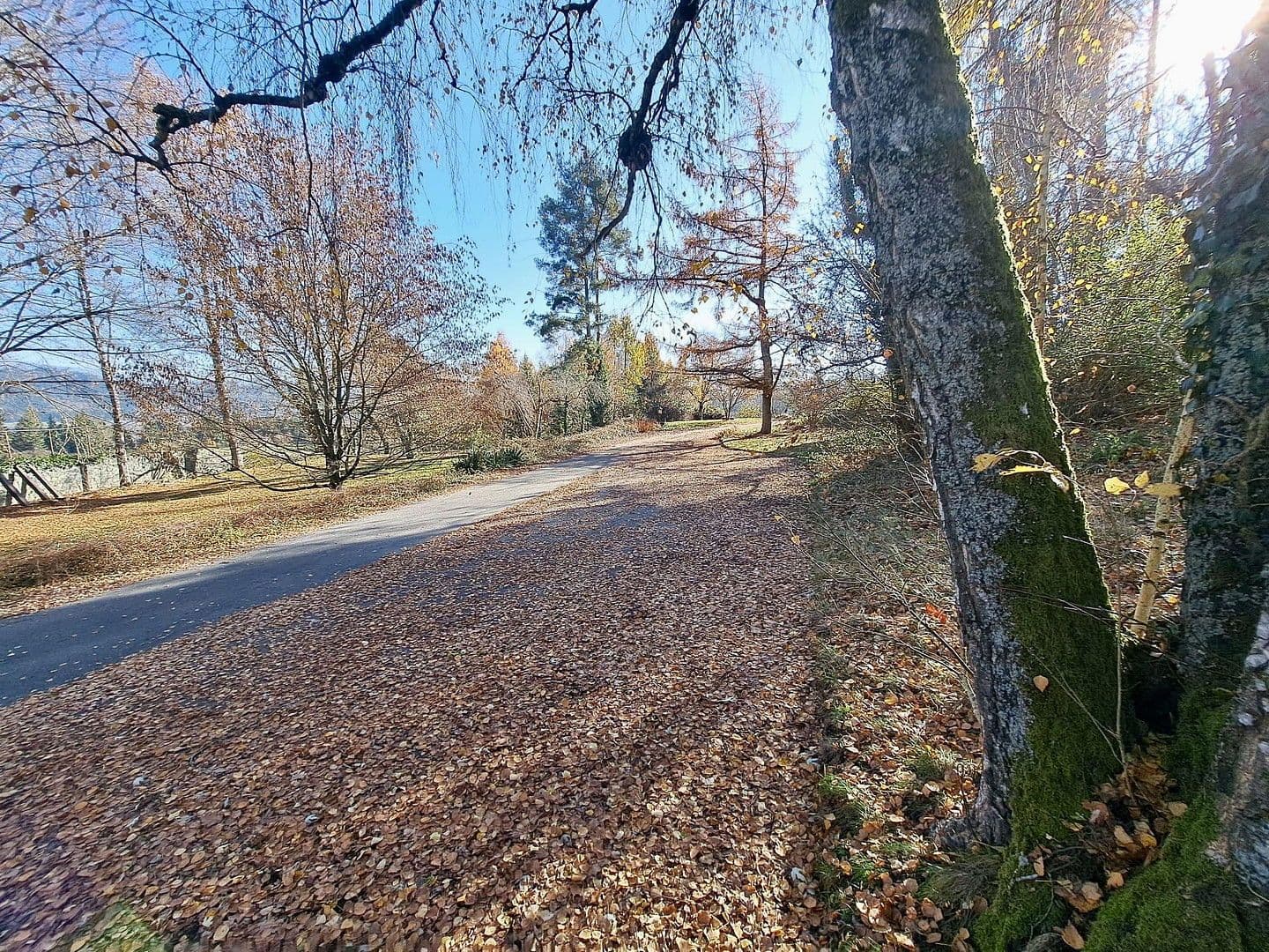 Predaj domu 872 m², pozemek 25.421 m², Sankt Veit an der Glan, Korutánsko Predaj domu 872 m², pozemek 25.421 m², Sankt Veit an der Glan, Korutánsko