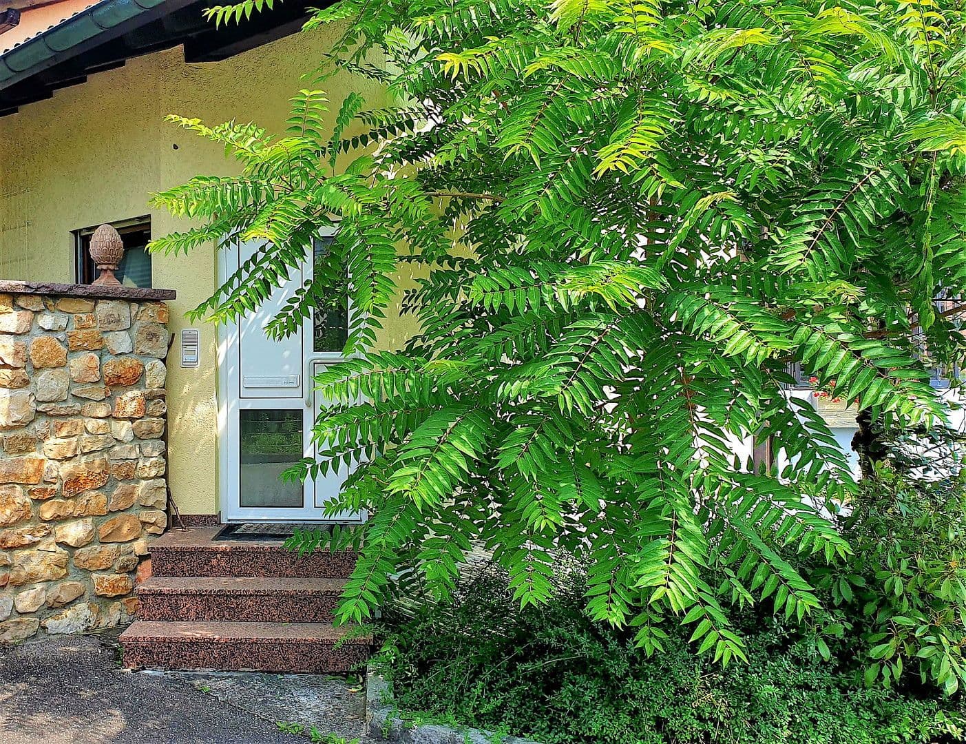 Predaj domu 406 m², pozemek 631 m², Augster Strasse 4, Rheinfelden (Baden), Bádensko-Wurttembersko Predaj domu 406 m², pozemek 631 m², Augster Strasse 4, Rheinfelden (Baden), Bádensko-Wurttembersko