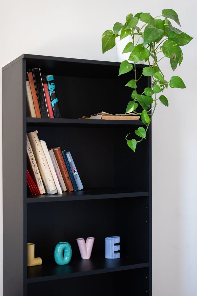 Prenájom bytu 65 m², Těšnov, Praha, Praha Prenájom bytu 65 m², Těšnov, Praha, Praha