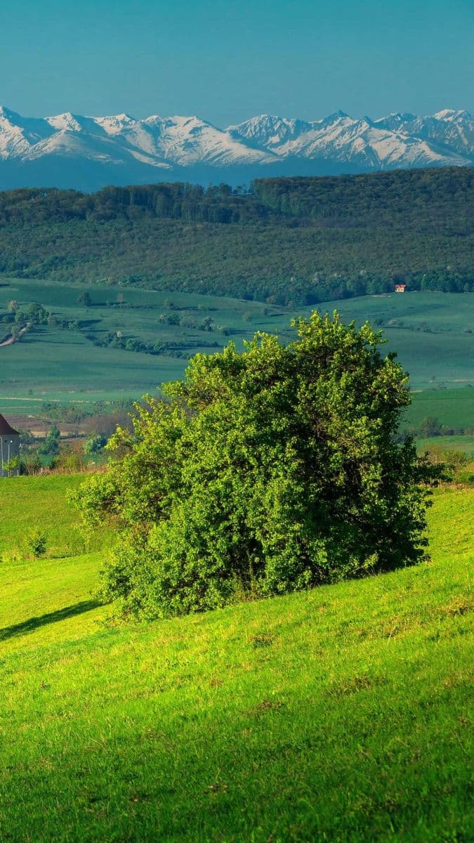 Prenájom domu 100 m², pozemek 1.500 m², Turnov, Liberecký kraj Prenájom domu 100 m², pozemek 1.500 m², Turnov, Liberecký kraj