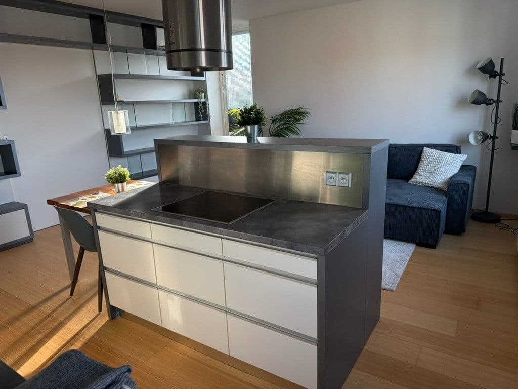 Prenájom bytu 2-izbový 69 m², Rybářská, Brno, Jihomoravský kraj Prenájom bytu 2-izbový 69 m², Rybářská, Brno, Jihomoravský kraj