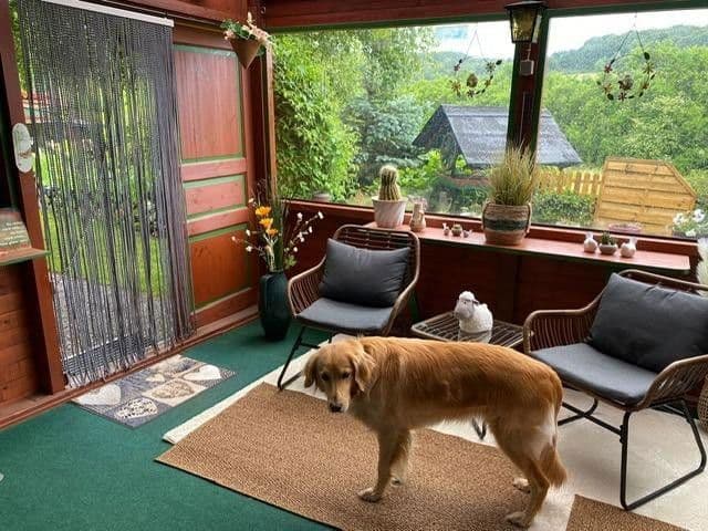 Prenájom domu 193 m², pozemek 580 m², Haschbach am Remigiusberg, Porýnie-Falcko Prenájom domu 193 m², pozemek 580 m², Haschbach am Remigiusberg, Porýnie-Falcko