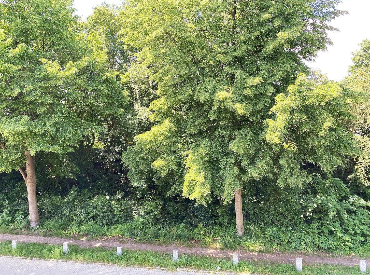 Predaj bytu 5-izbový 120 m², Hamburg, Hamburg Predaj bytu 5-izbový 120 m², Hamburg, Hamburg