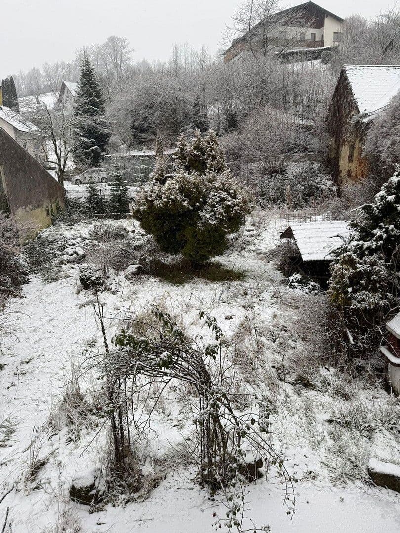 Predaj domu 276 m², pozemek 812 m², Markt 4, Waldhausen, Horné Rakúsko Predaj domu 276 m², pozemek 812 m², Markt 4, Waldhausen, Horné Rakúsko