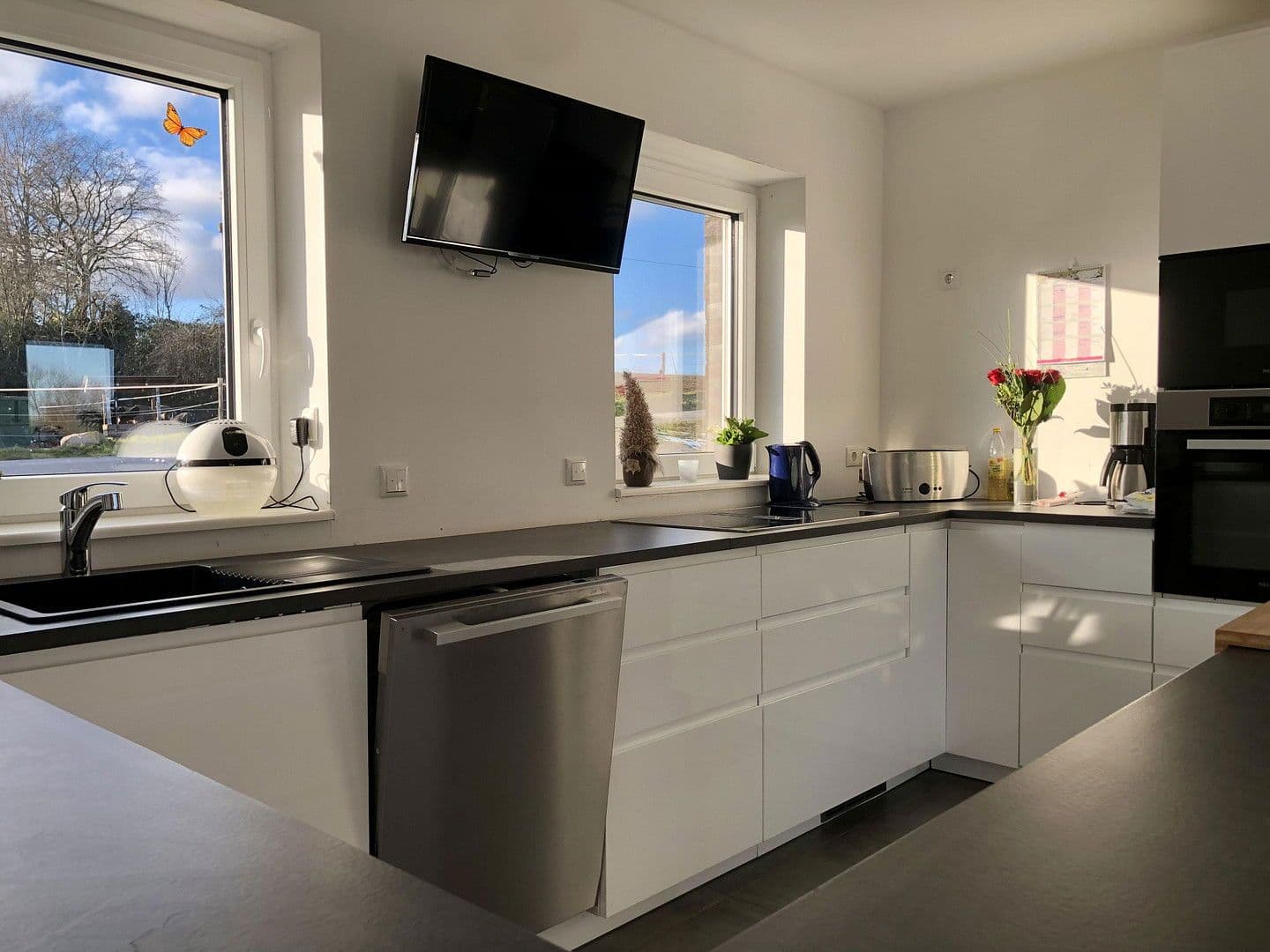 Predaj domu 230 m², pozemek 38.620 m², Oldenburg in Holstein, Šlezvicko-Holštajnsko Predaj domu 230 m², pozemek 38.620 m², Oldenburg in Holstein, Šlezvicko-Holštajnsko