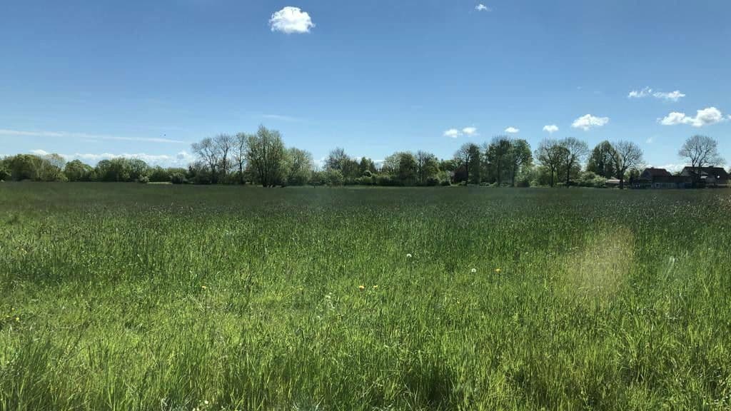 Predaj domu 230 m², pozemek 38.620 m², Oldenburg in Holstein, Šlezvicko-Holštajnsko Predaj domu 230 m², pozemek 38.620 m², Oldenburg in Holstein, Šlezvicko-Holštajnsko