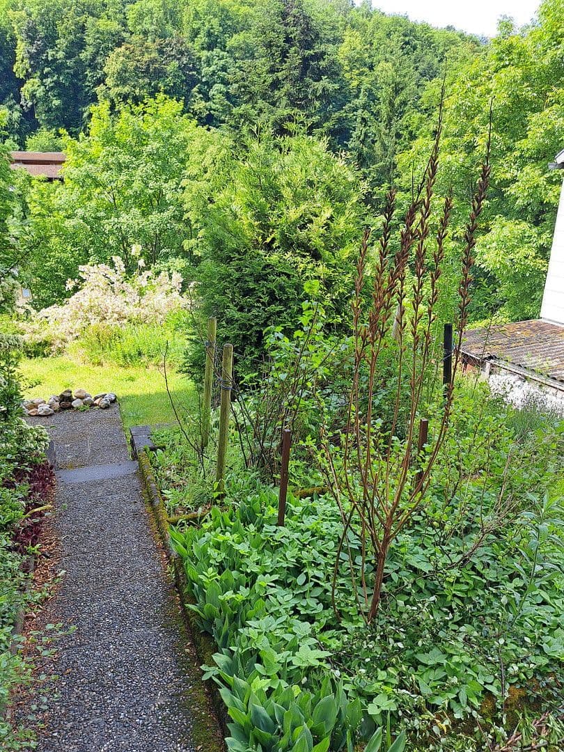 Predaj domu 235 m², pozemek 552 m², Wolfskehle, Kulmbach, Bavorsko Predaj domu 235 m², pozemek 552 m², Wolfskehle, Kulmbach, Bavorsko