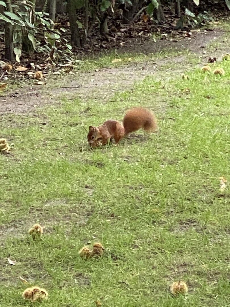 Predaj domu 280 m², pozemek 1.223 m², Dortmund, Severné Porýnie - Westfálsko Predaj domu 280 m², pozemek 1.223 m², Dortmund, Severné Porýnie - Westfálsko