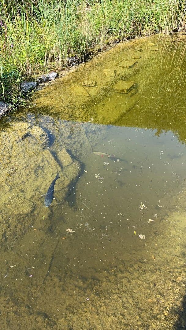 Predaj domu 280 m², pozemek 1.223 m², Dortmund, Severné Porýnie - Westfálsko Predaj domu 280 m², pozemek 1.223 m², Dortmund, Severné Porýnie - Westfálsko