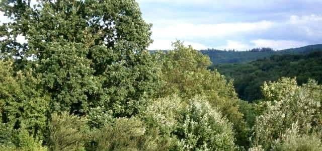 Prenájom bytu 3-izbový 60 m², Schwäbisch Gmünd, Bádensko-Wurttembersko Prenájom bytu 3-izbový 60 m², Schwäbisch Gmünd, Bádensko-Wurttembersko