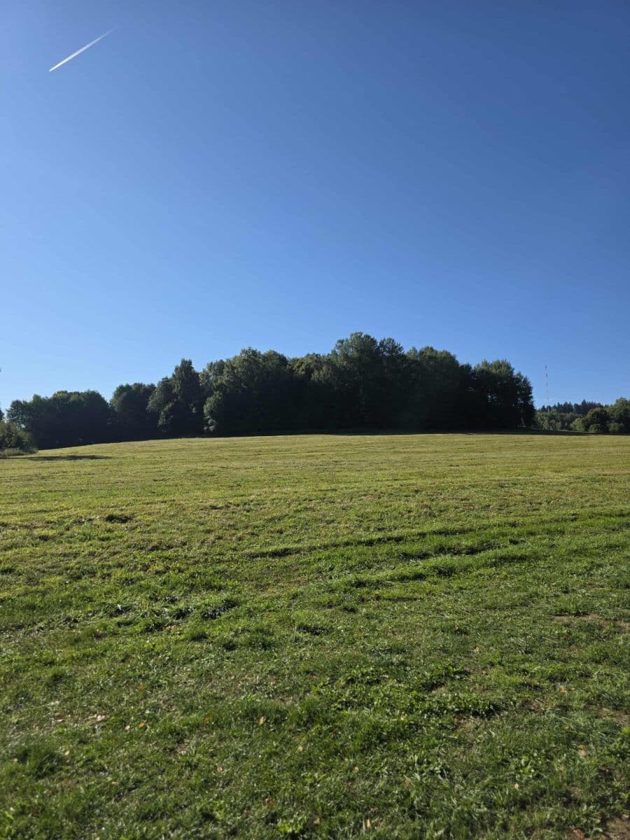 Predaj pozemku 4.441 m², Černá v Pošumaví, Jihočeský kraj Predaj pozemku 4.441 m², Černá v Pošumaví, Jihočeský kraj