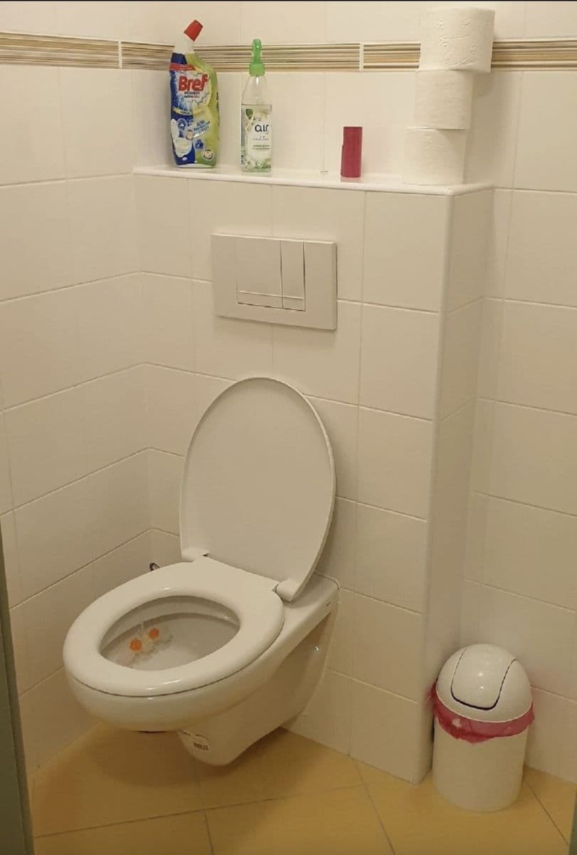 Prenájom bytu 130 m², Benátky, Benátky, Pardubický kraj Prenájom bytu 130 m², Benátky, Benátky, Pardubický kraj