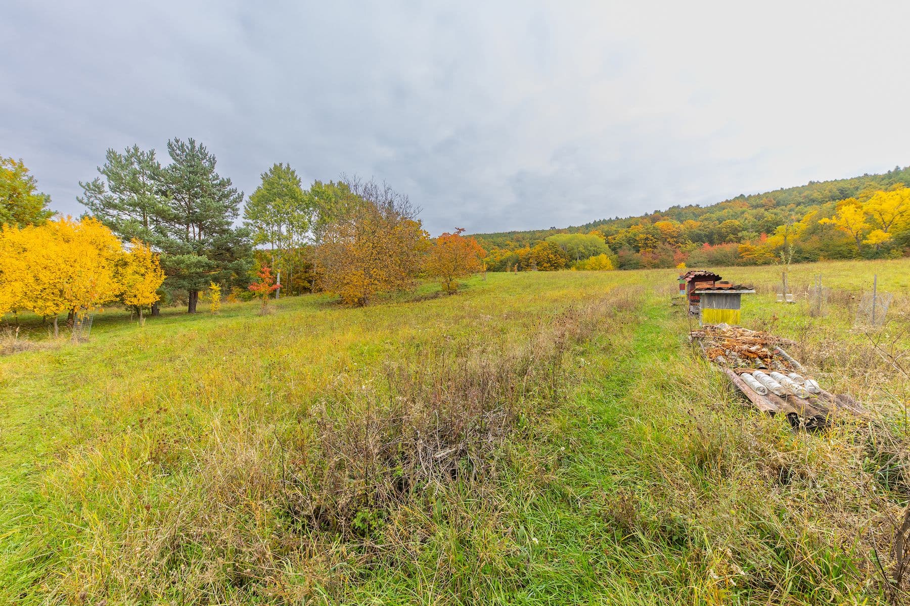 Predaj pozemku 5.229 m², Lažany, Jihomoravský kraj Predaj pozemku 5.229 m², Lažany, Jihomoravský kraj