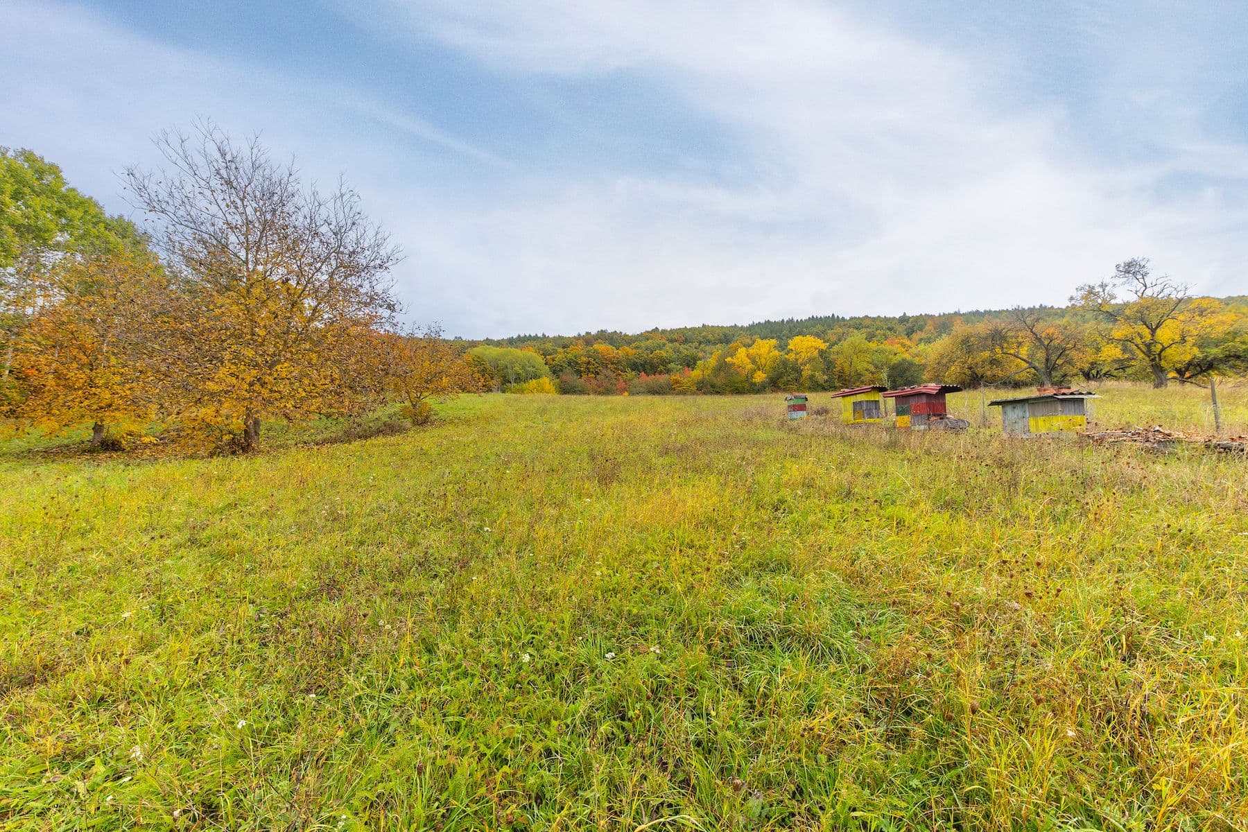 Predaj pozemku 5.229 m², Lažany, Jihomoravský kraj Predaj pozemku 5.229 m², Lažany, Jihomoravský kraj