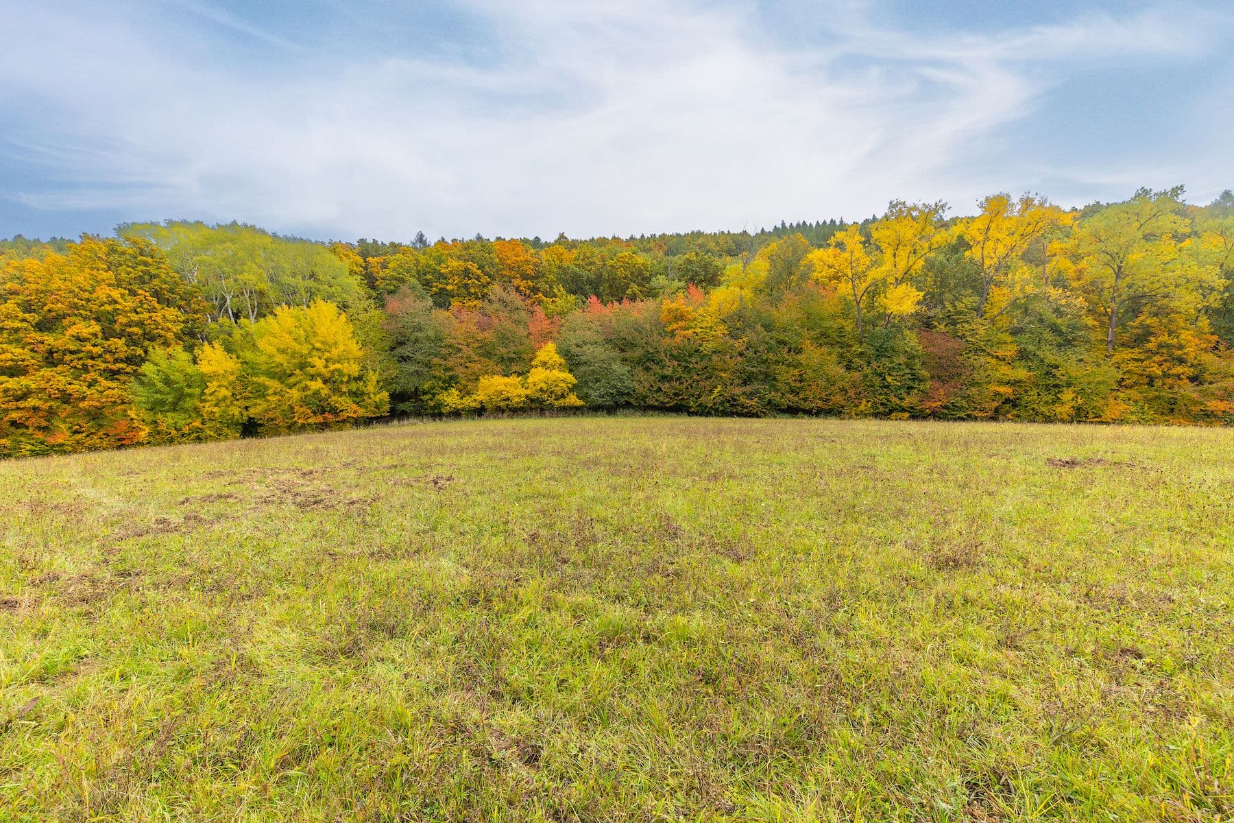 Predaj pozemku 5.229 m², Lažany, Jihomoravský kraj Predaj pozemku 5.229 m², Lažany, Jihomoravský kraj
