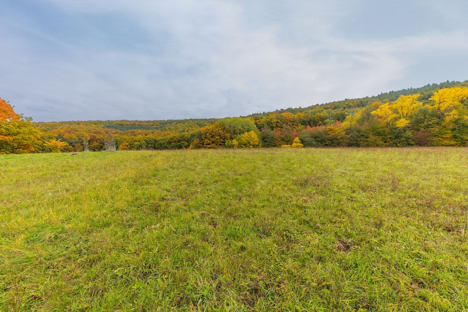 Predaj pozemku 5.229 m², Lažany, Jihomoravský kraj Predaj pozemku 5.229 m², Lažany, Jihomoravský kraj