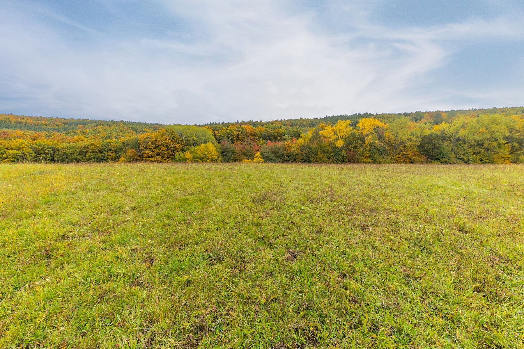 Predaj pozemku 5.229 m², Lažany, Jihomoravský kraj Predaj pozemku 5.229 m², Lažany, Jihomoravský kraj