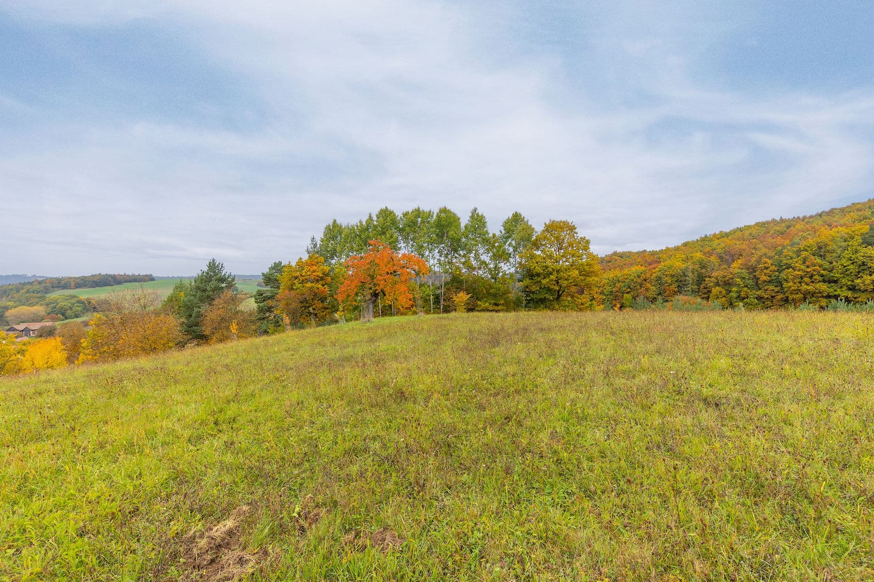 Predaj pozemku 5.229 m², Lažany, Jihomoravský kraj Predaj pozemku 5.229 m², Lažany, Jihomoravský kraj