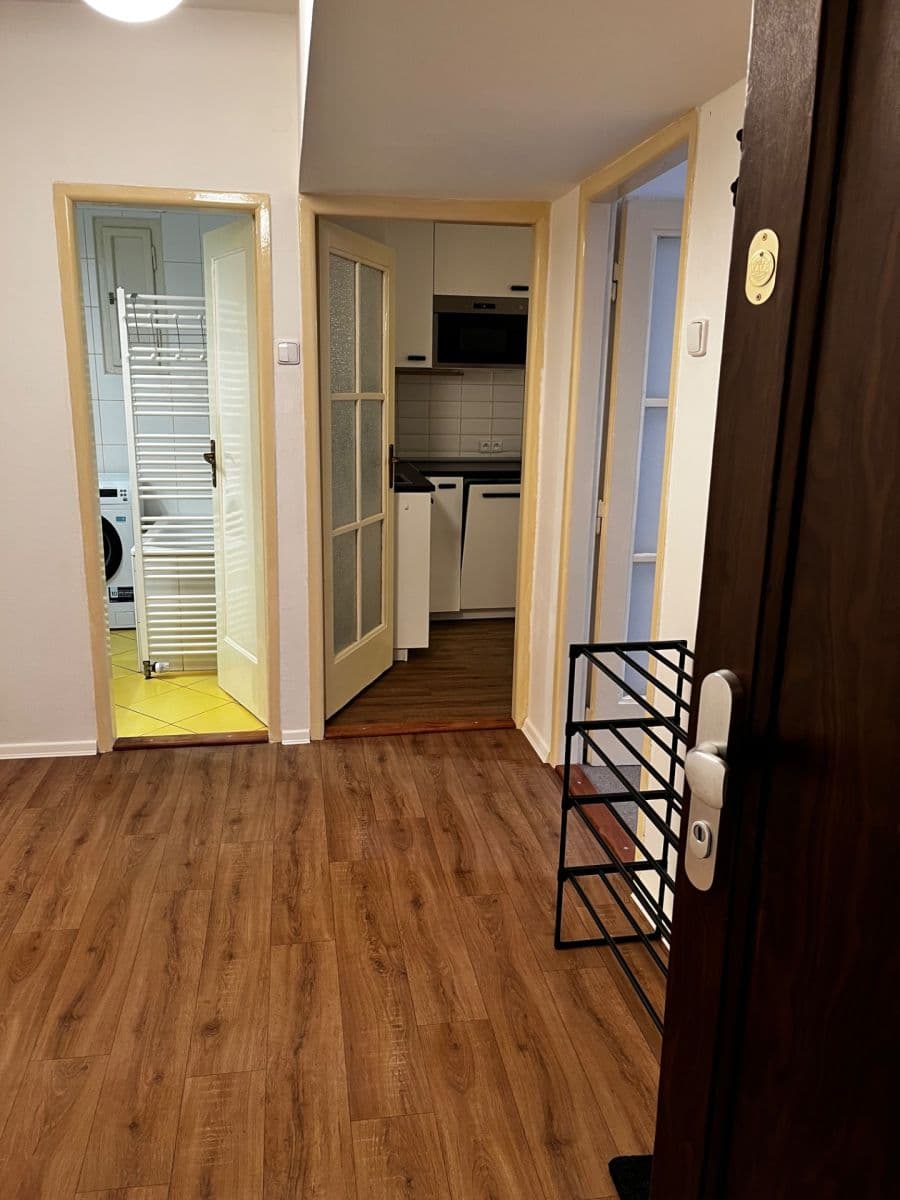 Prenájom bytu 1-izbový 42 m², Puškinovo náměstí, Praha, Praha Prenájom bytu 1-izbový 42 m², Puškinovo náměstí, Praha, Praha