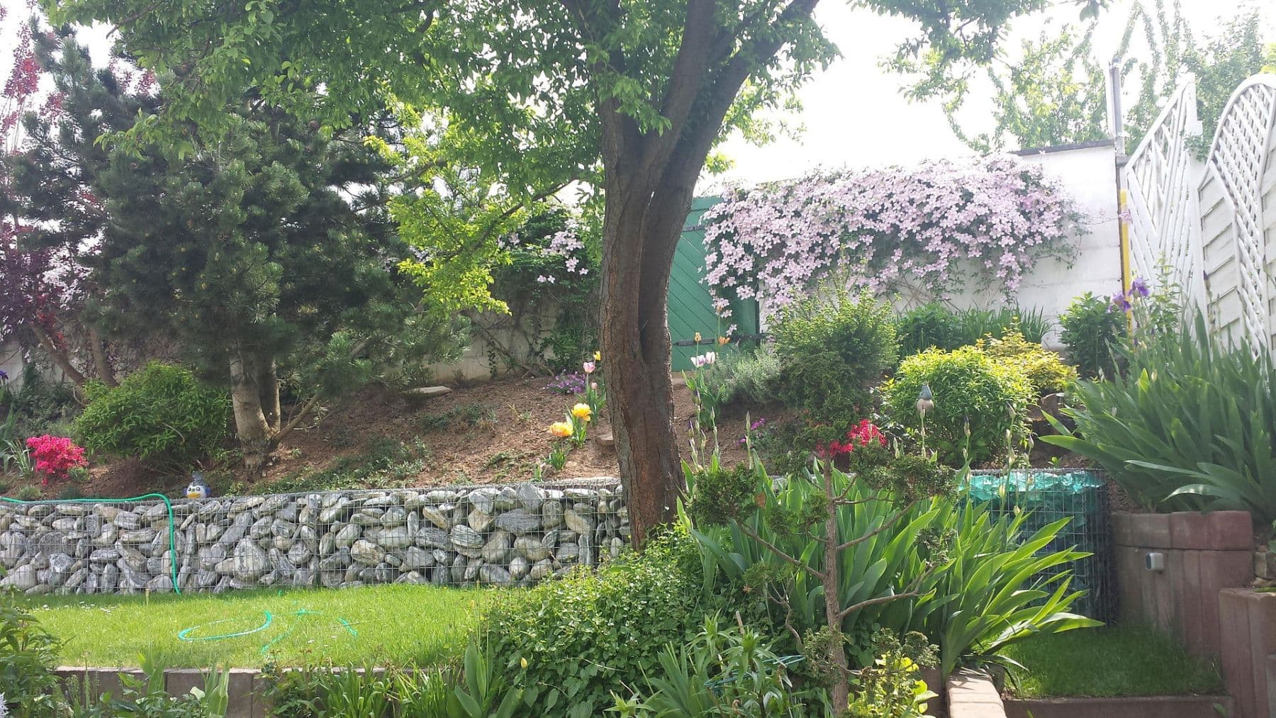 Predaj domu 237 m², pozemek 525 m², Ingelheim am Rhein, Porýnie-Falcko Predaj domu 237 m², pozemek 525 m², Ingelheim am Rhein, Porýnie-Falcko