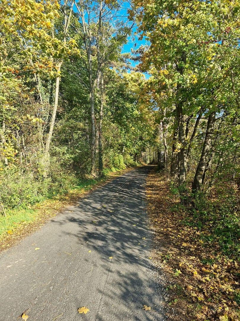 Predaj domu 136 m², pozemek 283 m², Wöllersdorf, Dolné Rakúsko Predaj domu 136 m², pozemek 283 m², Wöllersdorf, Dolné Rakúsko