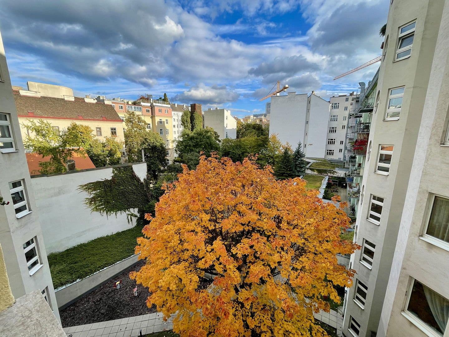 Prenájom bytu 3-izbový 68 m², Rainergasse 7, Wien, Viedeň Prenájom bytu 3-izbový 68 m², Rainergasse 7, Wien, Viedeň